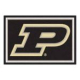 Purdue University