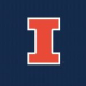 University of Illinois at Urbana-Champaign